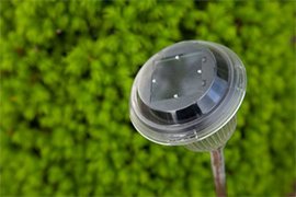 Garden Solar Light